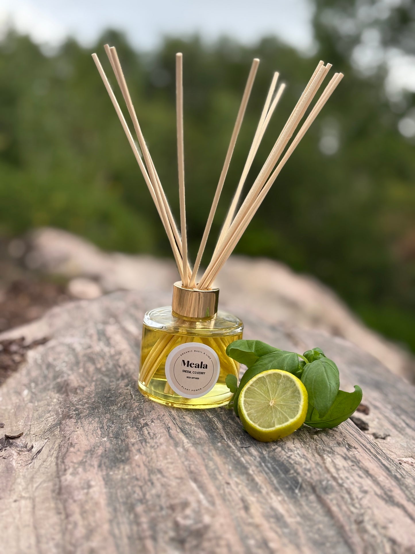 LEMON & BASIL REED DIFFUSER